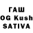 Псилоцибиновые грибы Cubensis TheVanja91
