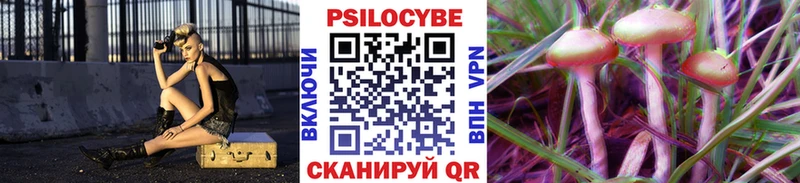 где купить наркоту  Гагарин  Псилоцибиновые грибы Psilocybine cubensis 